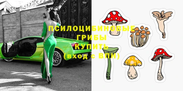 бутират Кодинск